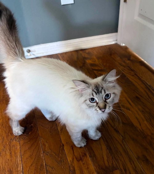 Zena **foster only**