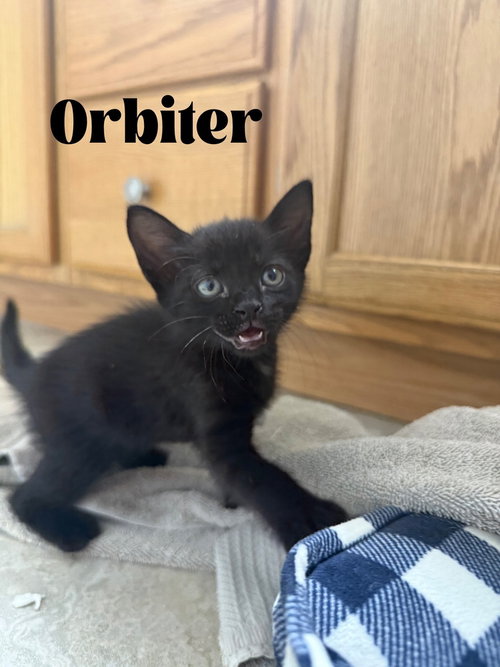 Orbiter photo 2