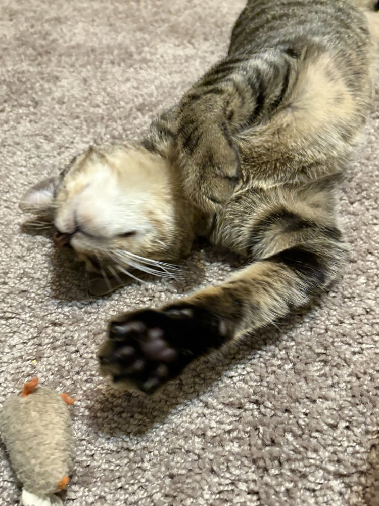 Benny