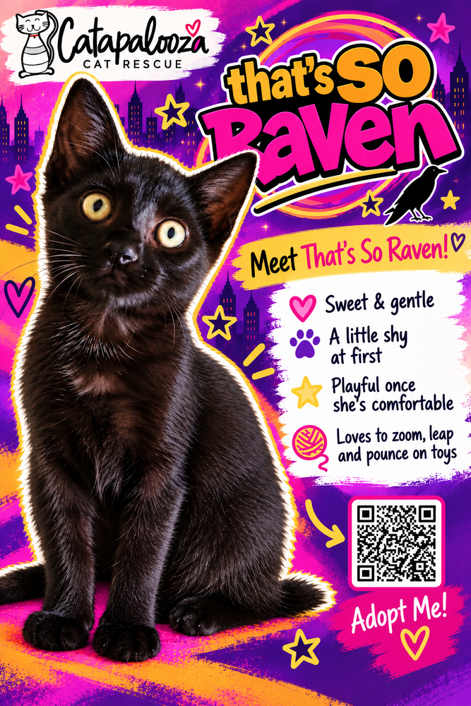 Thatâs So Raven, Domestic Short Hair