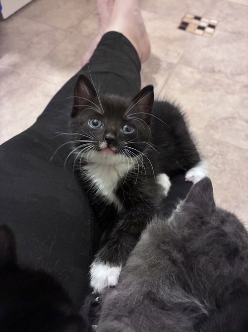 Snuggle, photo 2