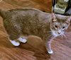 Zeus - Photo 6