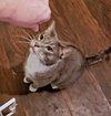 Zeus - Photo 5