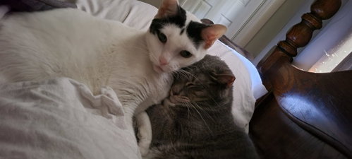 Zeus photo 4