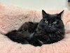Tabitha - Photo 7