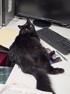 Tabitha - Photo 4