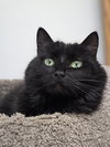 Tabitha - Photo 2