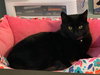 Tabitha - Photo 11
