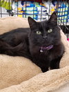 Tabitha - Photo 10