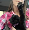 Tabitha - Photo 13