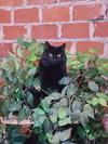 Tabitha - Photo 8