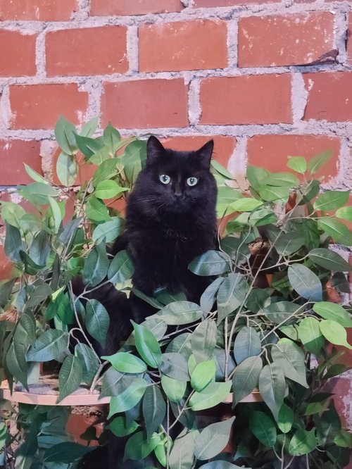 Tabitha photo 8