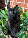Tabitha - Photo 14