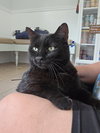 Felix - Photo 3