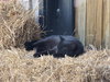 Felix - Photo 7