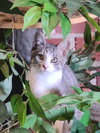 Emma - Photo 12