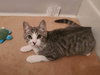 Emma - Photo 20