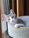 Emma - Photo 8