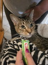 Candy - Photo 2
