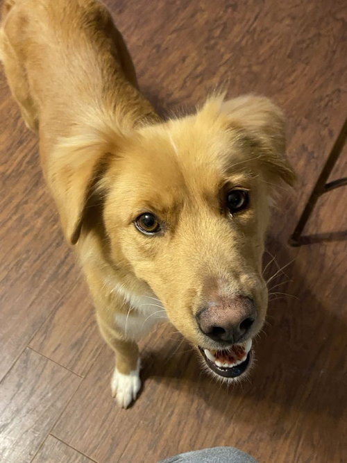 Lucy photo 5