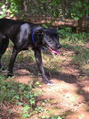 Jax - Photo 9