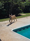 Echo - Photo 10