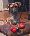 Echo - Photo 4