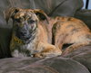 Echo - Photo 7