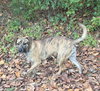 Echo - Photo 5