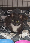 Libby - Photo 4
