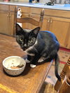 Libby - Photo 3