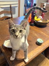 Connie - Photo 2