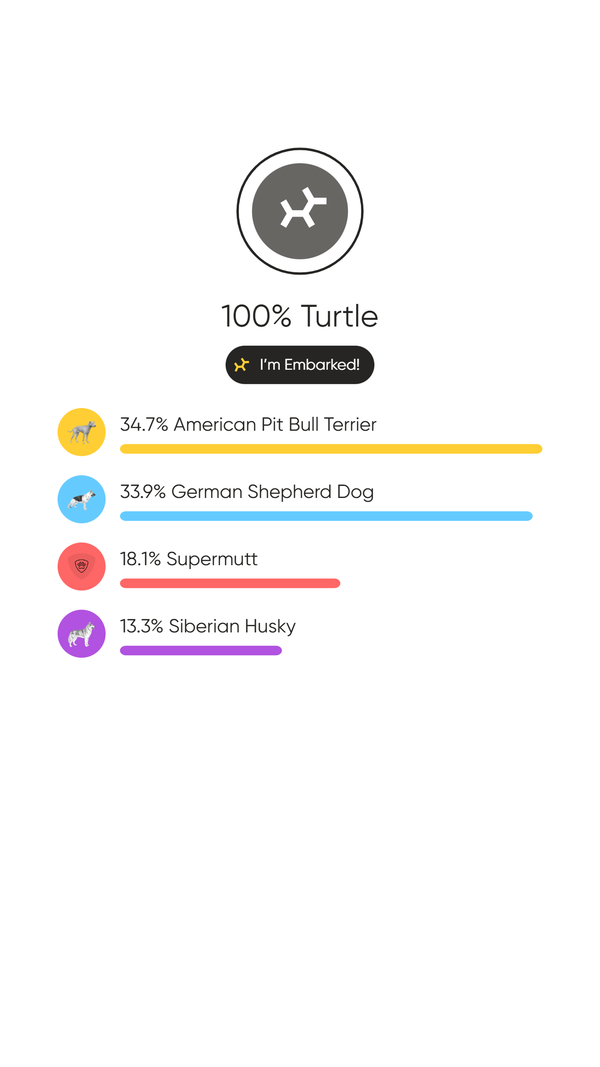 Turtle