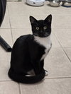 Tilly - Photo 5