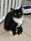 Tilly - Photo 6