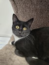 Tilly - Photo 3