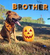 Brother - CCHS - Photo 1