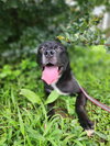 Bones - CCHS - Photo 3