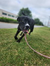 Bones - CCHS - Photo 4