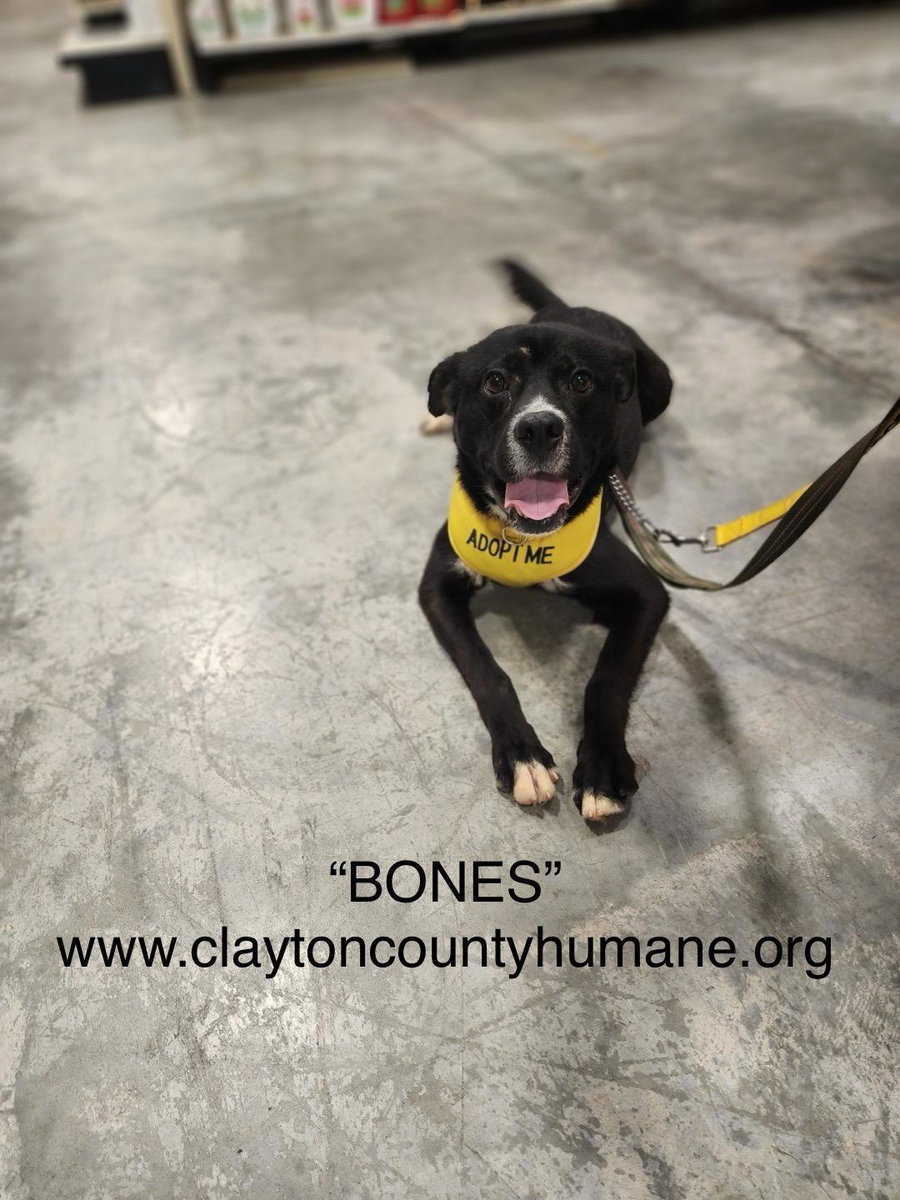 Bones - CCHS