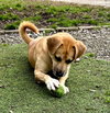 Stacey - CCHS - Photo 4