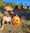 Kelly - CCHS - Photo 1