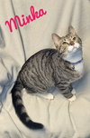 Minka - CCHS - Photo 7