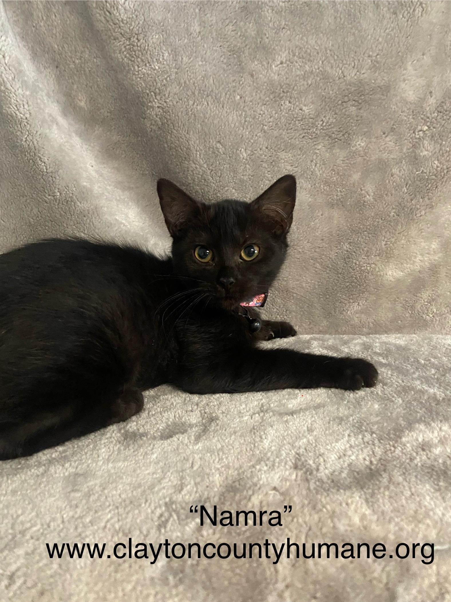 Namra, photo 3