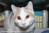 Antonio - CCHS - Photo 2
