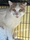 Antonio - CCHS - Photo 3