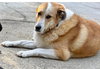 Athena - CP - Photo 2