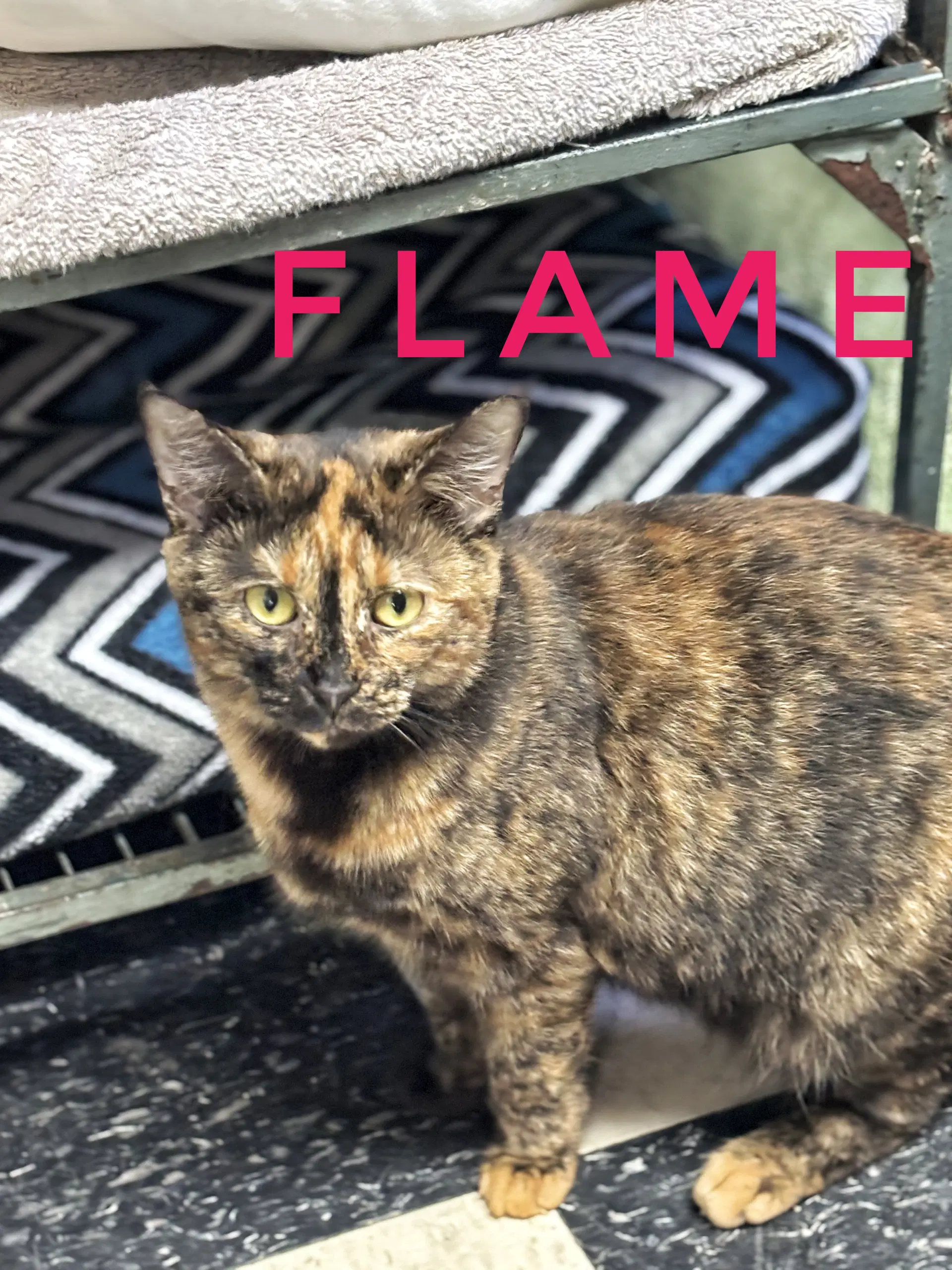 Flame image 3