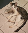Misty CCHS - Photo 4