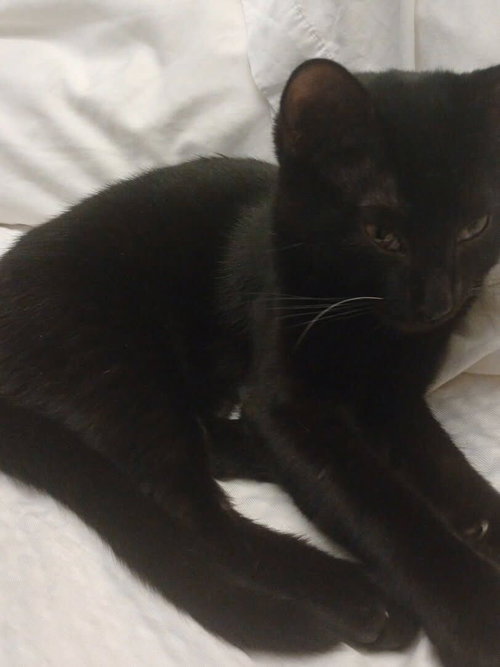 Vader photo 2